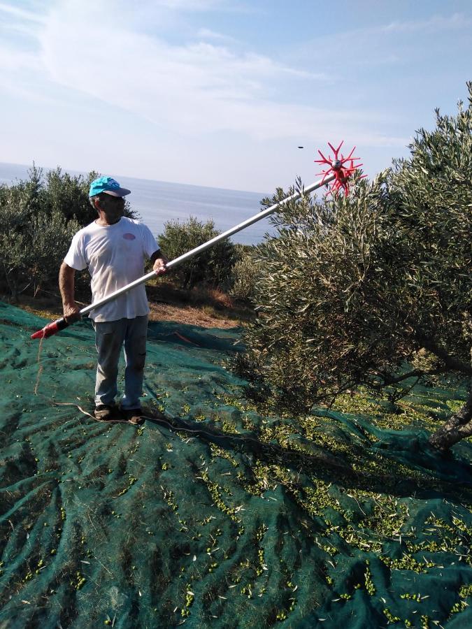 Agalianos Villa Olga מראה חיצוני תמונה