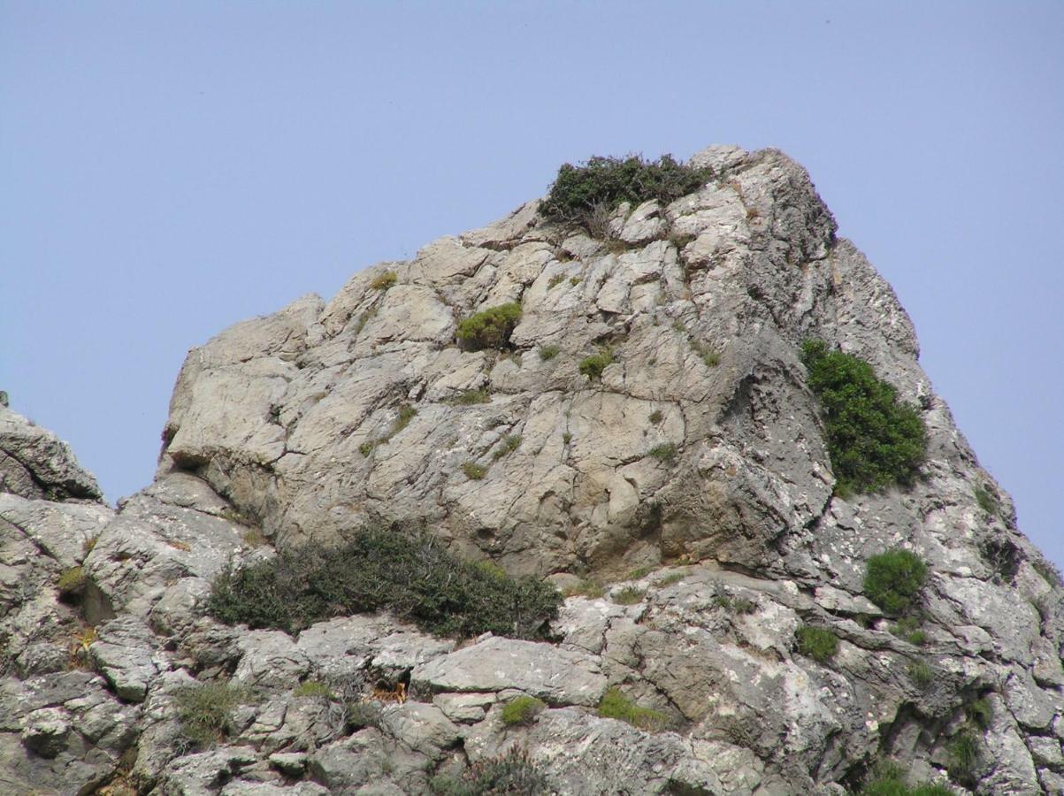 Agalianos Villa Olga מראה חיצוני תמונה